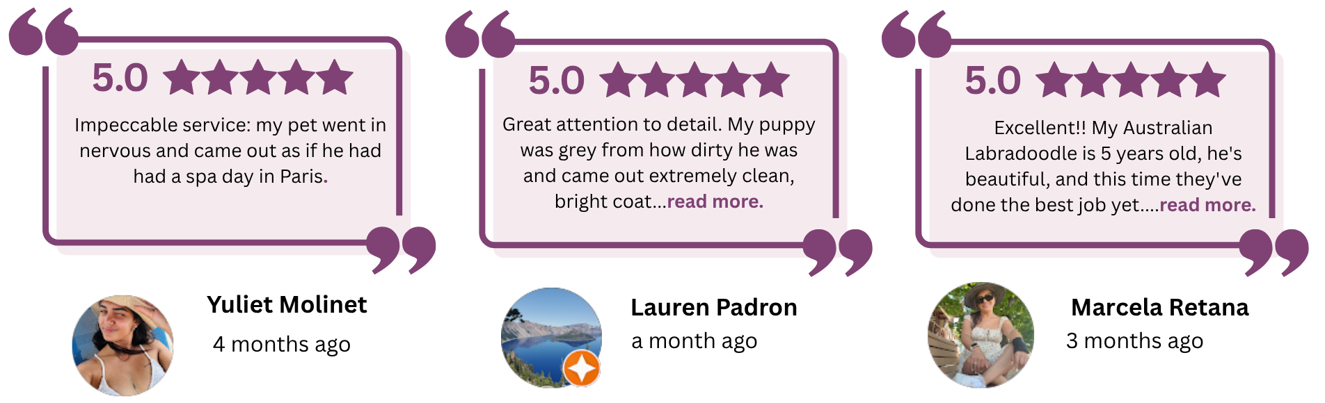 View verified Google reviews for Isabel Mobile Grooming See real Google reviews